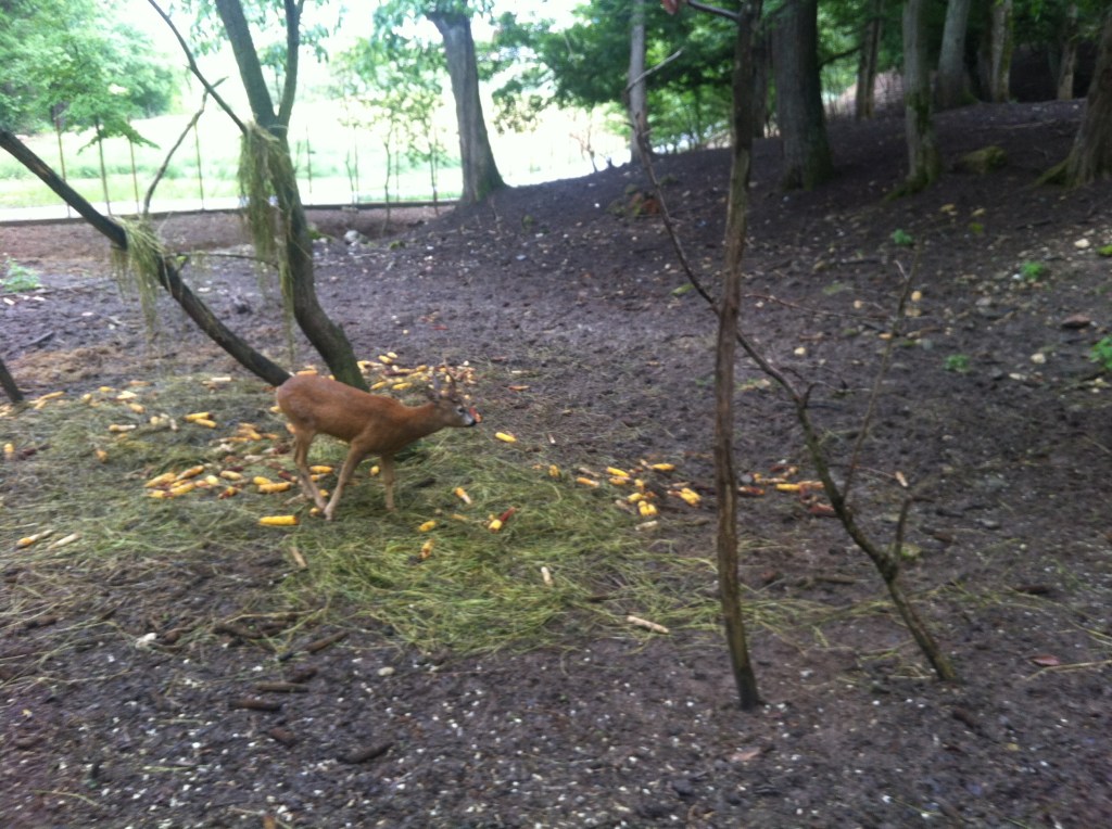 8875508812_424d7b4609_o