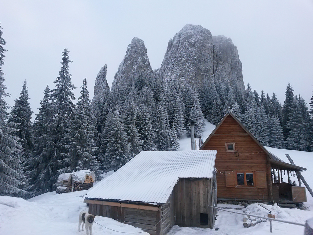 16877736139_2cb2bb7fe4_b