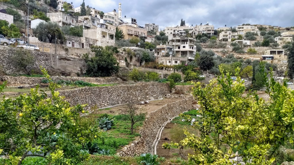 [Palestine] The story of&nbsp;Battir