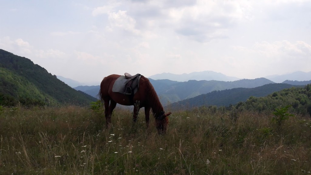 [Romania] Horseback riding on the mountains at Nedeea&nbsp;Vâlceană