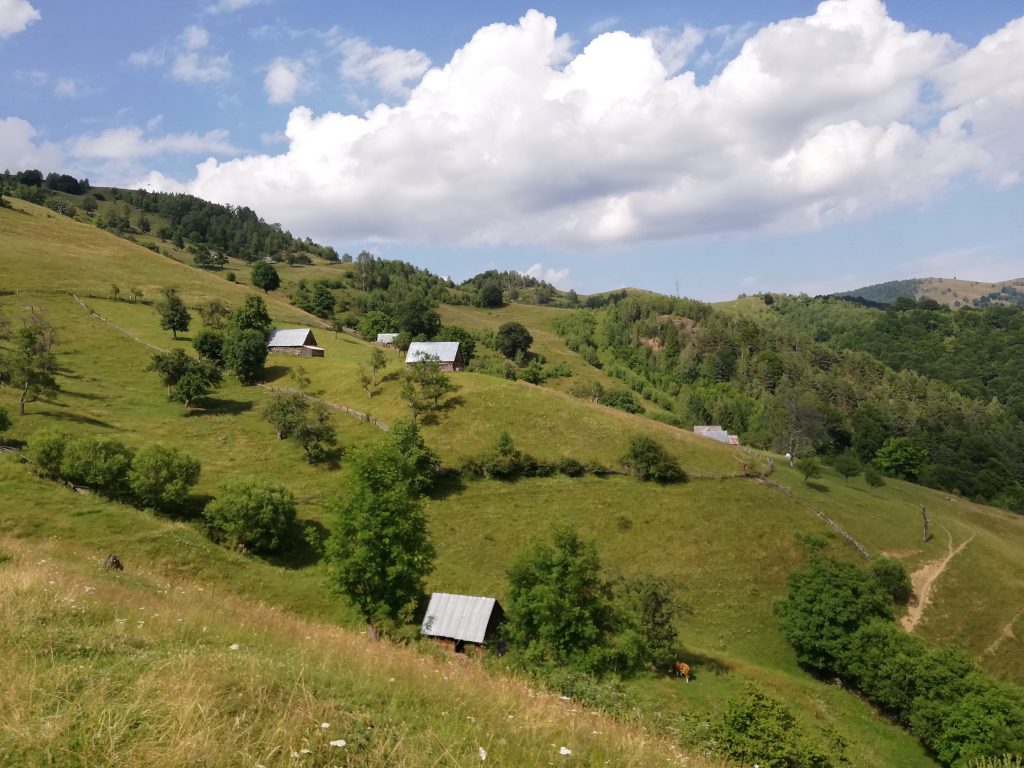 [Romania] Weekend at a shepherd’s cottage in Rîu&nbsp;Sadului