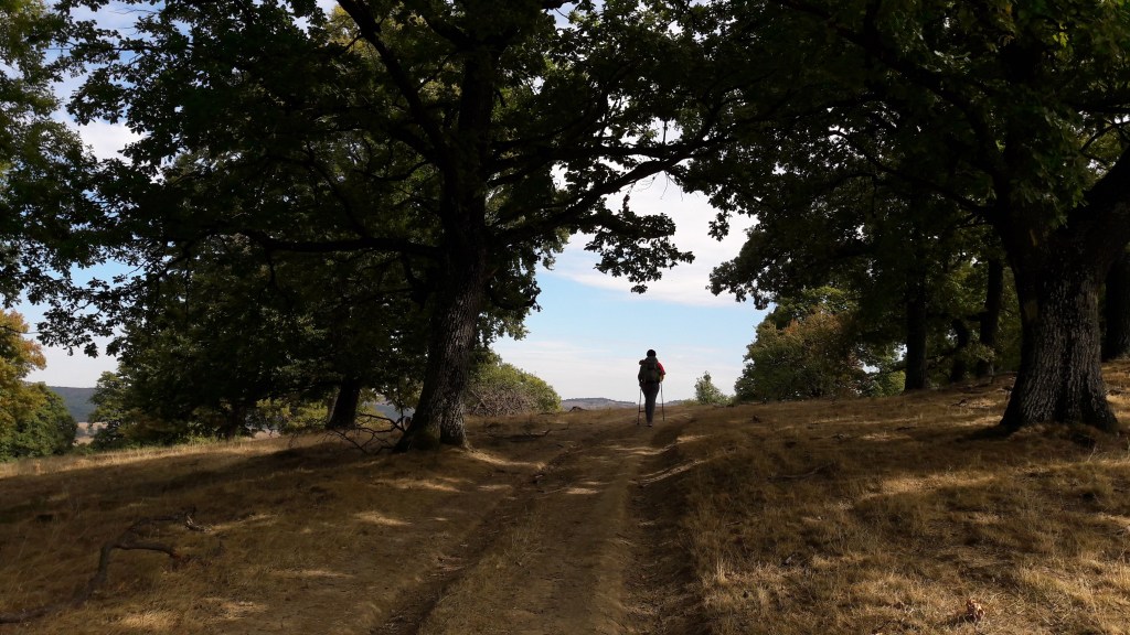 [Romania] Saxon Trek&nbsp;2019