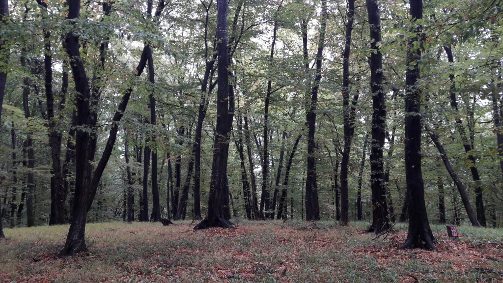 [Romania] Saxon Trek 2019 – Day&nbsp;6