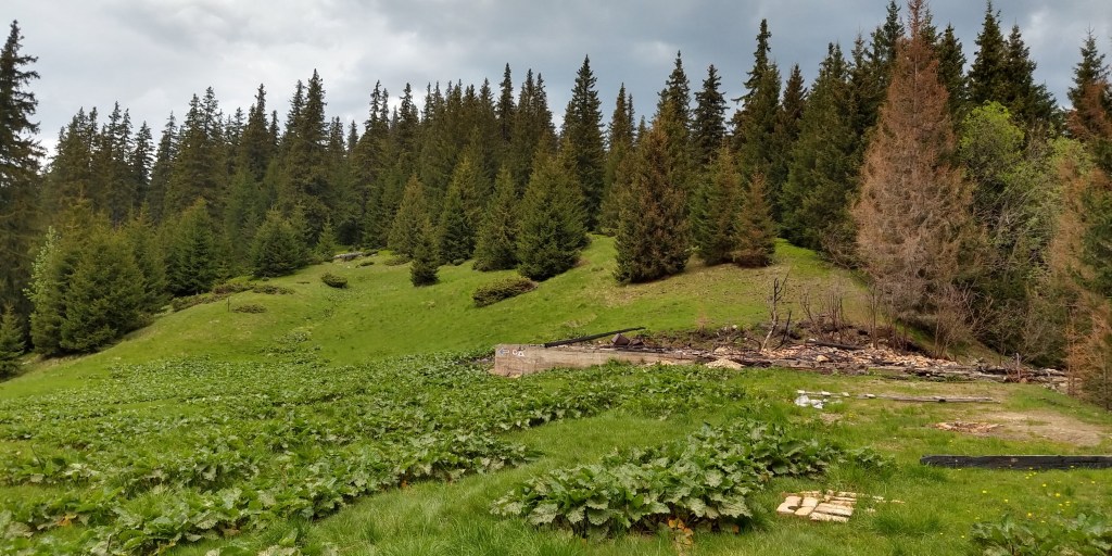 [Romania] Hike to Cabana&nbsp;Urlea