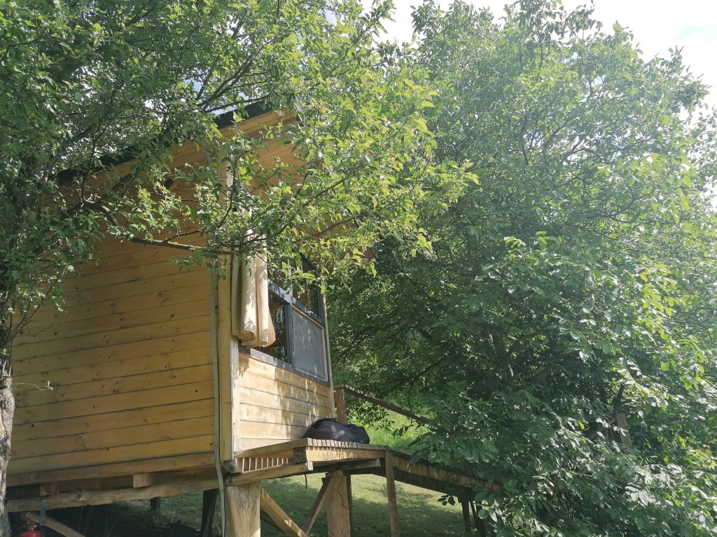 [Romania] Weekend in a tree&nbsp;cottage