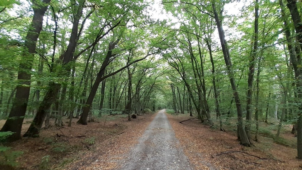 [Romania] Saxon Trek&nbsp;2020